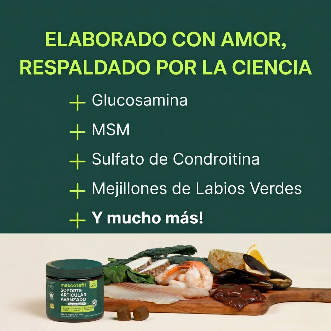 Soporte Articular Avanzado